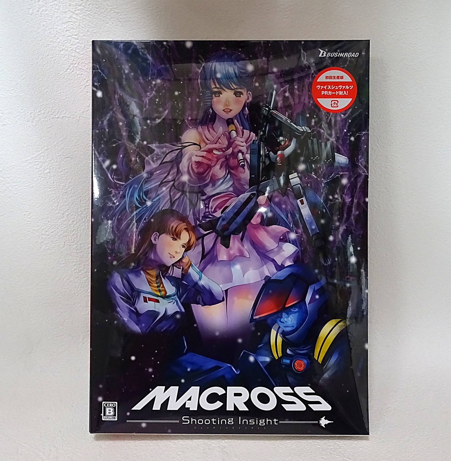 超時空要塞マクロス Shooting Insight (Nintendo Switch用ゲーム