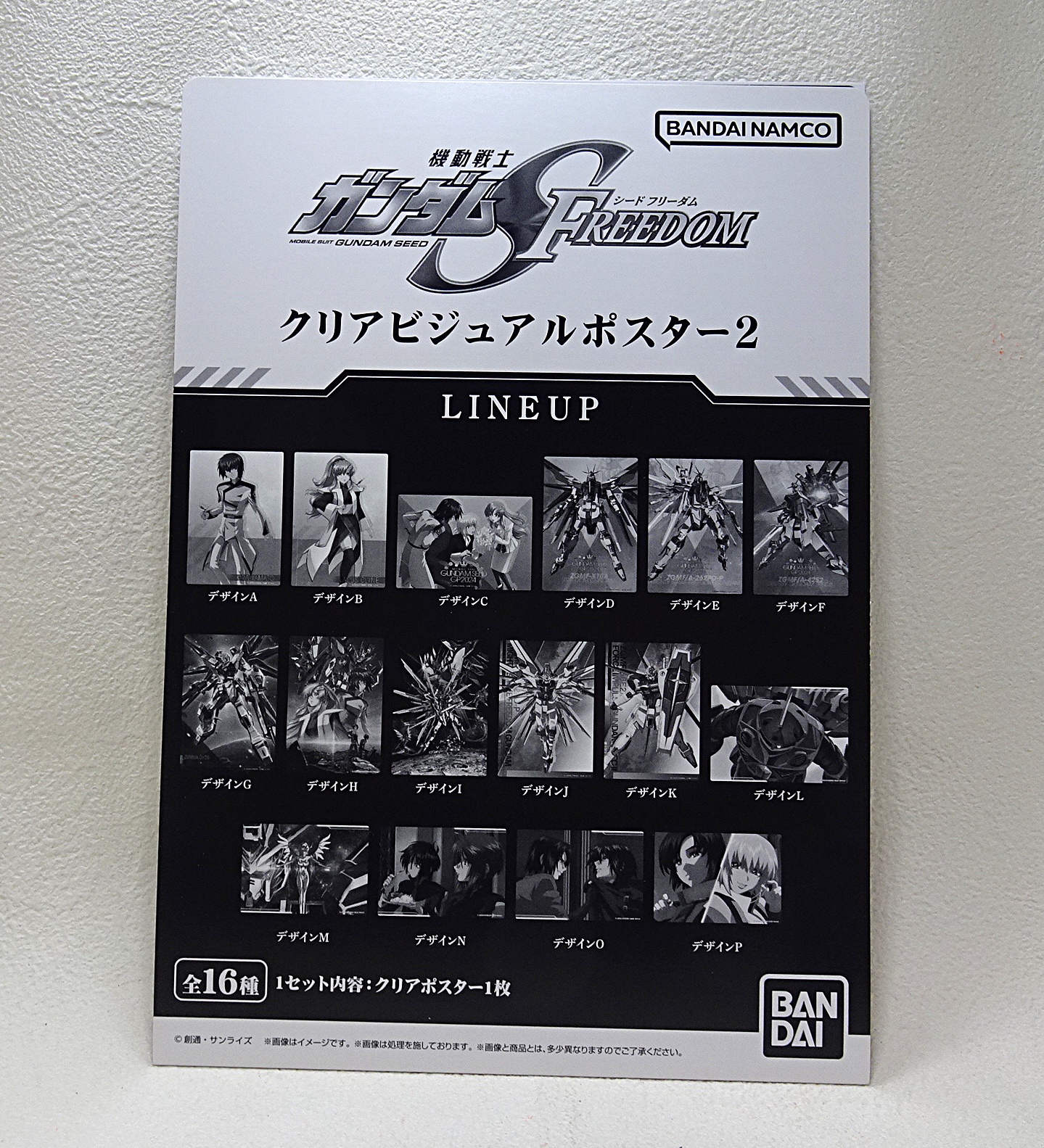 DSC08754.jpg